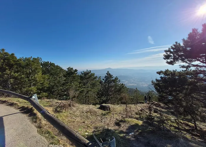 Apartment Gajic Divčibare